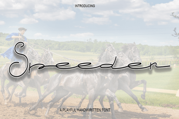 Speeder Font: Elegant Script for Web Design